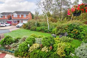 Photo 29- click for photo gallery